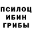 Галлюциногенные грибы прущие грибы DIAZ YT