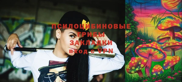 спиды Алексеевка